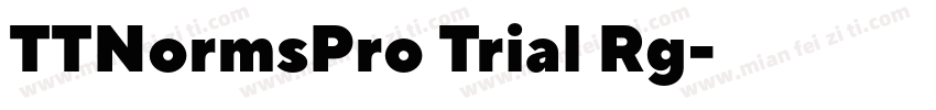 TTNormsPro Trial Rg字体转换